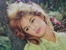 ALIKI BOUGIOKLAKI ????? ????????????, THE GOLDEN SONGS LP SPR 3550