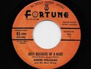 Andre Williams - Just Because Of A Kiss / Didlee Didlee Womp Womp (R&B, 45) 831