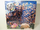 RARE Jellyfish Bellybutton vinyl lp PROMO Charisma 1-91400 San Fran Alt 1990 EX?