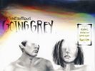 FRONT BOTTOMS: GOING GREY (LP vinyl *BRAND NEW*.)