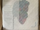 Love Forever Changes Vinyl Mono ERC057M, No. Ltd Ed. 300, Original New Sealed