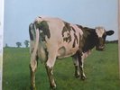 PINK FLOYD LP ATOM HEART MOTHER 1978 FRANCE REISSUE VG++/VG++