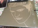 ELVIS PRESLEY A GOLDEN CELEBRATION 6 EXCELLENT VINYL LP BOX SET PHOTO num 05498