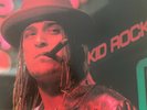 Devil Without a Cause [LP] by Kid Rock (Vinyl, Feb-2016, 2 Discs, Warner Bros.)