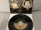The Front Bottoms -  Summer of Steroids 7