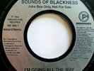 Sounds Of Blackness - I'm Going All The Way - Rare 1994 Jukebox Promo 7