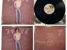 John Cougar Mellencamp, uh huh (LP, 33 rpm, Vinyl, 1983, Riva) Hard Rock