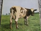 Pink Floyd Atom Heart Mother LP SHVL 781 IE062 o. 04550