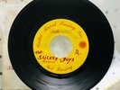 THE SLICKEE BOYS: 1979 USA Garage / Punk EP Test Pressing “Gotta Tell Me Why”