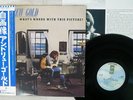 Andrew Gold ‎What's Wrong With This Picture? Asylum Records ‎P-10290Y
