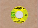 THIRTEENTH FLOOR ELEVATORS - YOU'RE GONNA MISS ME 45 RPM  IA RECORDS  EXCELLENT