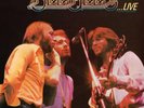 Bee Gees HERE AT LAST: LIVE (602508639036) Gatefold NEW COLORED VINYL 2 LP