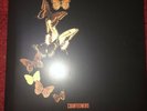 THE COURTEENERS LP VINYL MORE AGAIN FOREVER CLEAR VINYL MINT UNPLAYED LIMITED