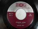 Sailor Boy (Alex Spearman) Country Home Preston Love Country Boogie Dig 116 VG++