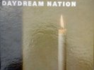 Sonic Youth ORIG US 4LP Box Set Daydream nation Deluxe Edition EX 2007 GOO013