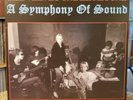 THE VELVET UNDERGROUND A Symphony Of Sound LP #228/1000 NM/NM w/inserts PSYCH