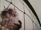 Vs. [LP] by Pearl Jam (Vinyl, Oct-1993,2011 Epic Associated)
