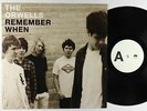 Orwells - Remember When LP - Autumn Tone NM