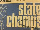 state champs unplugged blue moon phase sealed vinyl