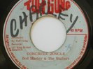 REGGAE - ROCKSTEADY - HURTING INSIDE - BOB MARLEY & THE WAILERS TUFF GONG listen