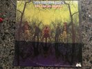 1969 AMERICAN BLUES Do Their Thing LP (ZZ Top)
