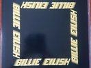 Billie Eilish Live At Third Man Records Live 12” LP Limited Edition Green Vinyl