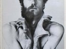 ID6629z - Peter Hammill - The Future Now - CAS 1137 - vinyl LP