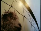 Vs. [LP] by Pearl Jam (Vinyl, Oct-1993, Epic Associated)