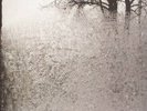 Bon Iver For Emma, Forever Ago - Vinyl (New)