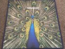 The Bluetones - Expecting To Fly. Original Vinyl LP. Art Card And Mailing Card