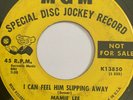 Northern Soul Promo 45/ Mamie Lee 