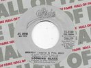 3 * LOOKING GLASS * 45 * Brandy / 1 SEGER Night Moves * MINT UNPLAYED * RI