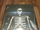 The Maine Forever Halloween  PILLAR EXCLUSIVE Cloudy Orange Vinyl LP New Emo Pop