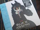 Bojack Horseman - Swimming Pool Blue Exclusive Vinyl (1/500)