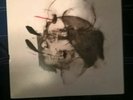P.O.S Never Better Clear 2 LP RARE OOP Rhymesayers Entertainment Doomtree Rap