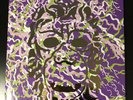 Portugal. The Man 