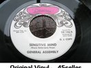 GENERAL ASSEMBLY 'Sensitive Mind + Lovin' Time' EX+ ORIGINAL Northern Soul 45