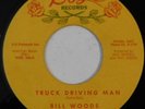 rockabilly 45 BILL WOODS Truck Driving Man ROSE VG HEAR ask me no questions