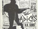 TREES & FLOWERS #4 UK 1981 RARE HARDCORE PUNK FANZINE ADICTS DAMNED POISON GIRLS