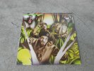 JUNGLE BROTHERS-STRAIGHT OUT THE JUNGLE-LP-IDLERS WAR 2704-1ST PRESS-NM