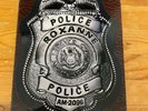 The Police Roxanne / I Cant Stand Losing You promo Vinyl Badge 7x11 Picture Disc