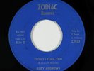 Funk/Crossover Soul 45 - Ruby Andrews - Didn't I Fool You - Zodiac - mp3