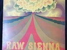 Savoy Brown ?– Raw Sienna LP Vinyl UK first press SKL 5043 1970 G+/VG
