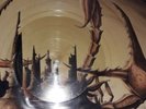 The Scorpions LP ( Lonesome Crow ) Picture Disc.