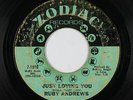 Northern Soul 45 - Ruby Andrews - Just Loving You - Zodiac - mp3