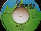 45 ROOTS / RYO / BLACK BEAUTY / THE MOUNTAIN LABEL / LISTEN