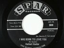 Northern Soul 45 - Herbert Hunter - I Was Born To Love You - Spar - mp3