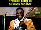Freddie King - 'Freddie King Is A Blues Master' (Vinyl LP Record)