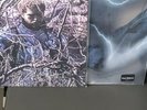 Post Malone Circles and Wow 7” Vinyls