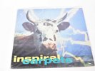 Inspiral Carpets - She Comes In The Fall, VINYL LP